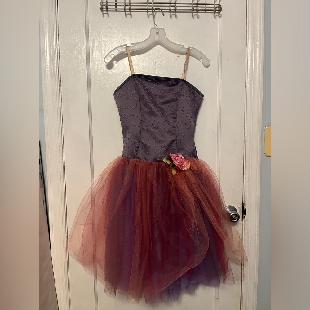 Leotard tutu dress